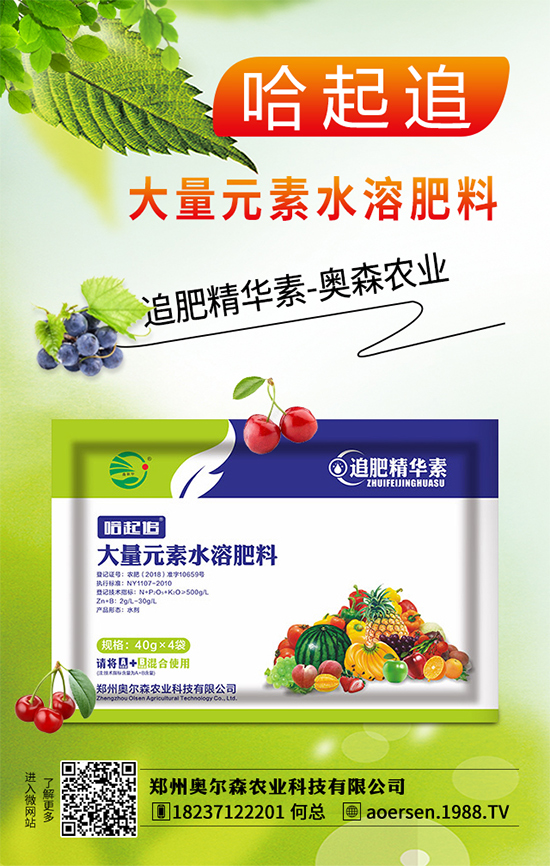 復合肥價格行情