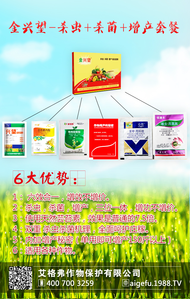 �������ﱣ�o(h��)���޹�˾5