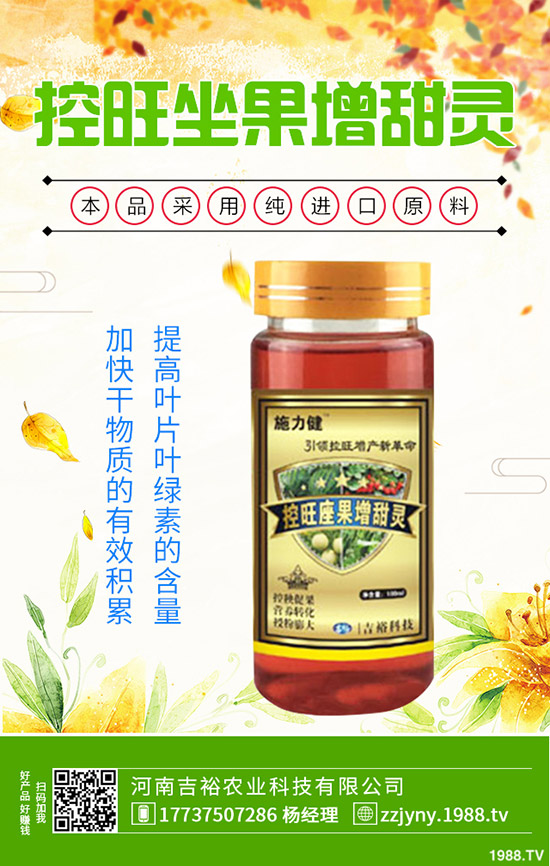 沙田柚種植需滿足哪些條件？沙田柚的種植方法有哪些？