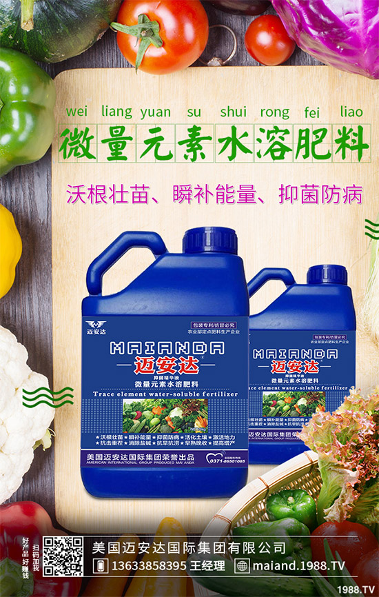 蒲公英育苗措施怎么做?蒲公英生長特點(diǎn)及適宜環(huán)境!