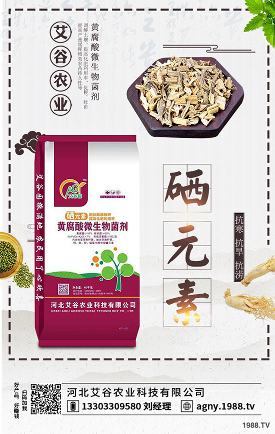 黑番茄該怎樣種植?如何管理才能獲得高產(chǎn)?黑番茄高產(chǎn)種植管理技術(shù)!