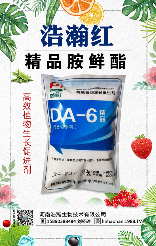 西紅柿摘葉常見誤區(qū)有哪些?西紅柿摘葉技巧!