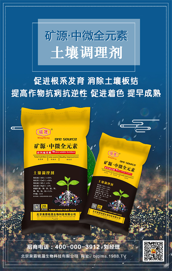 黑芝麻什么時間種植?黑芝麻栽培技術(shù)要點!