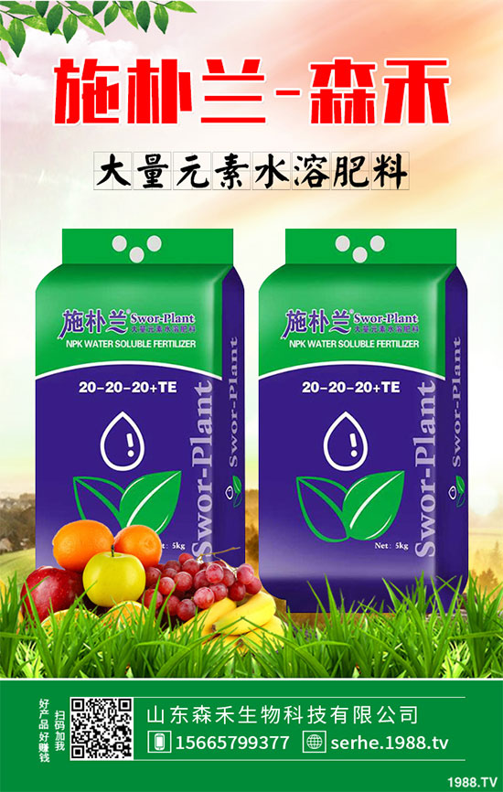 馬鈴薯價(jià)格不斷升高，能否繼續(xù)堅(jiān)挺？2020年馬鈴薯種植前景分析