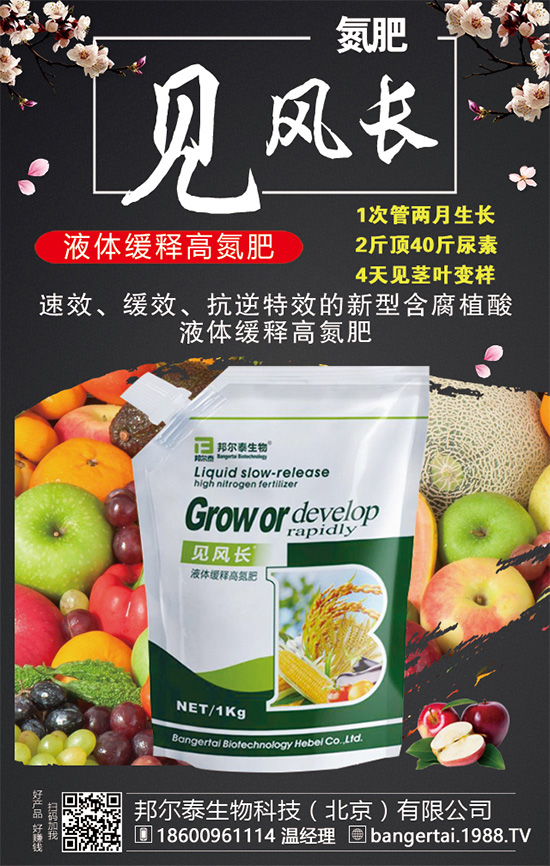 金錢草有哪些生長習性?金錢草怎么種植?