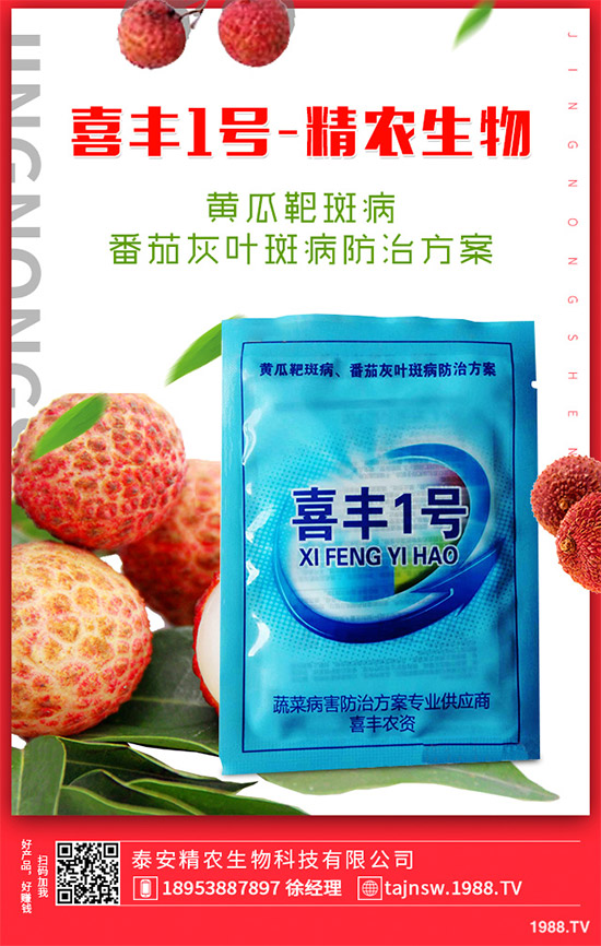 �V���X�ݷNֲ��Ҫ��Щ�l�����V���X��Ǥ������Ҫ�c(di��n)��