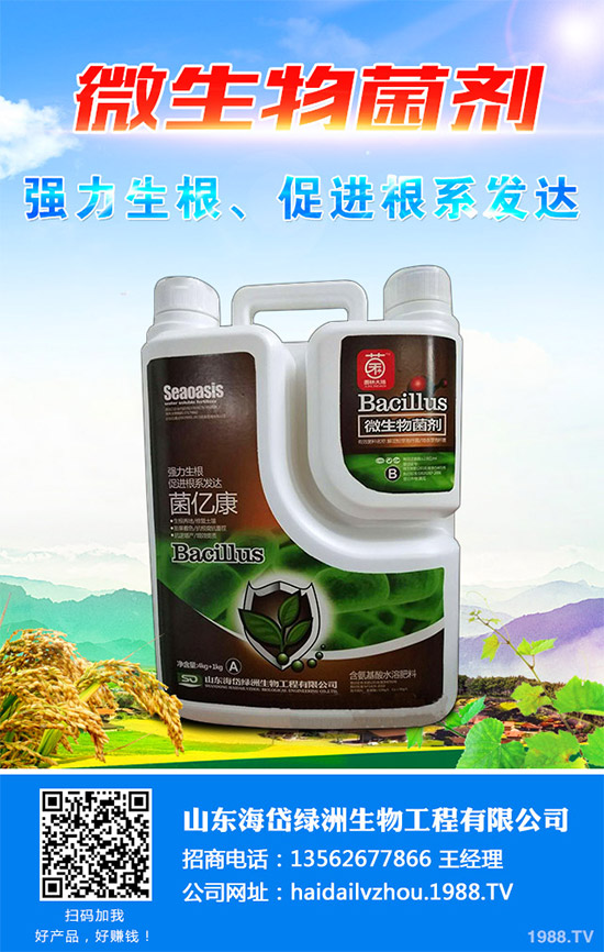 茼蒿該施什么肥料？如何施肥？聊聊茼蒿施肥那些事兒！