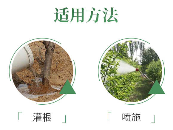 QQ圖片20200610184059_06