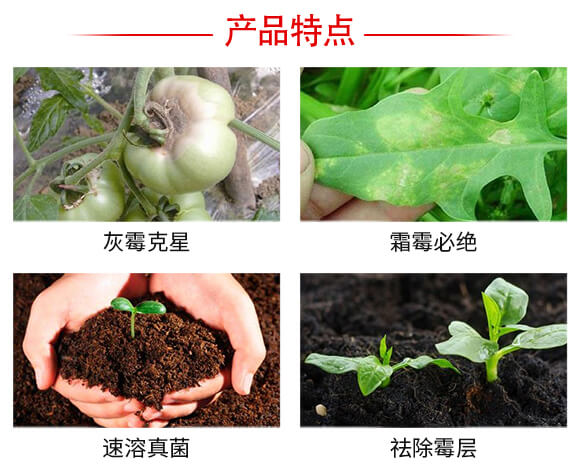 灰飛霜絕-強(qiáng)農(nóng)生物_04