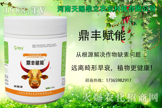 ��������ô�M(j��n)��׷�ʣ������˵ķNֲע�����(xi��ng)��