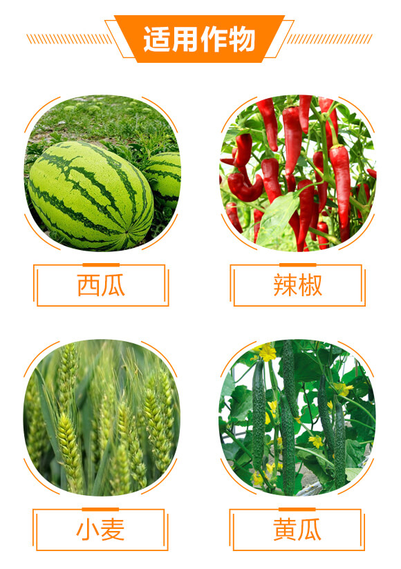 300克每升苯醚·丙環(huán)唑-生之藍-生農(nóng)世澤_04