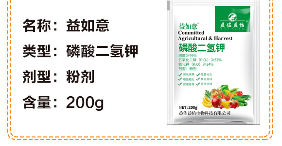 ��������-������-��������_04