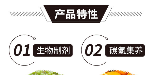 碳?xì)浜朔?藍(lán)藻門-碳?xì)鋰H_08