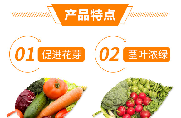 ��������-������-��������_05