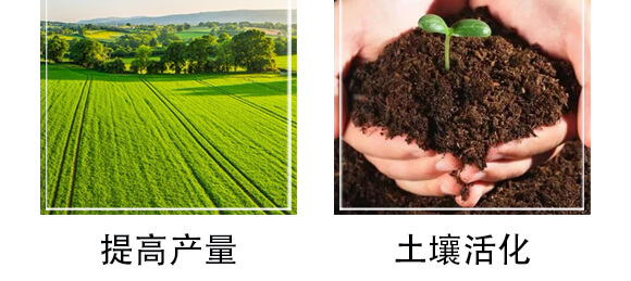 微生物菌劑-農(nóng)佳一_07