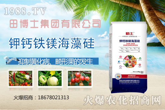 花生重茬會(huì)產(chǎn)生哪些影響？如何解決花生重茬問題？