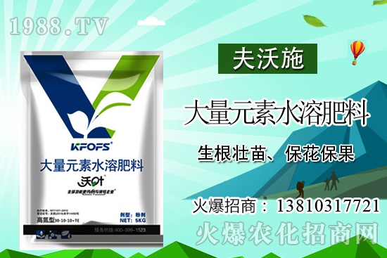 金櫻子有什么營養(yǎng)？金櫻子的功效與作用！