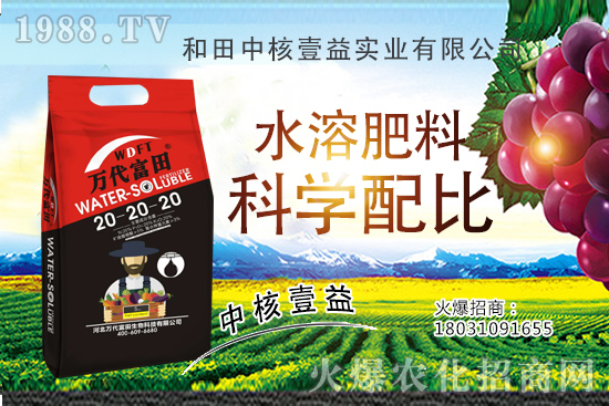 荔枝什么時間種植，荔枝種植技術(shù)要點(diǎn)，荔枝品種要怎么選？