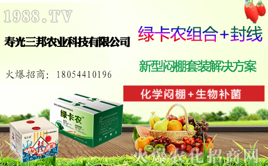 白菜多少錢(qián)一斤,一畝地產(chǎn)多少斤白菜,白菜種植前景及利潤(rùn)分析!