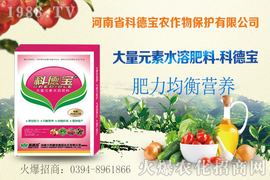 冬瓜育苗前需要做什么準(zhǔn)備?冬瓜對(duì)環(huán)境條件有什么要求?