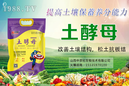 蔬菜輪作有什么好處,蔬菜輪作原則和注意要點(diǎn)!