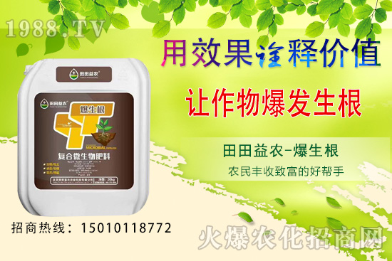 六月可以種植的蔬菜有哪些?六月種蔬菜管理要點!