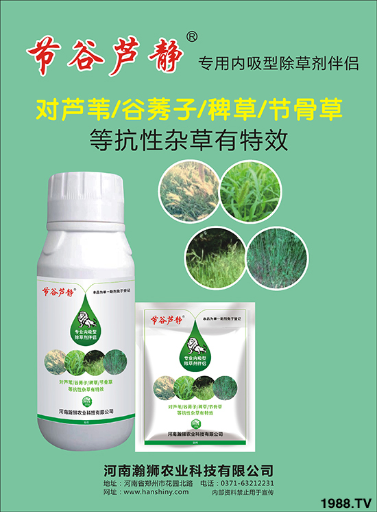 ���I(y��)��(n��i)���Գ��݄���H-��(ji��)���J�o-嫪{�r(n��ng)�I(y��)