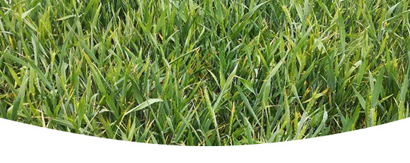 農夫稼園生物技術有限公司_16