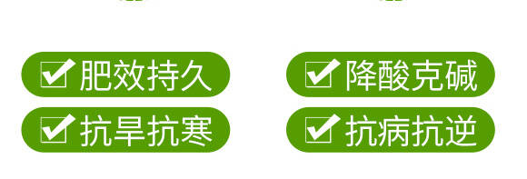 農夫稼園生物技術有限公司_09
