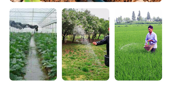 農夫稼園生物技術有限公司_19