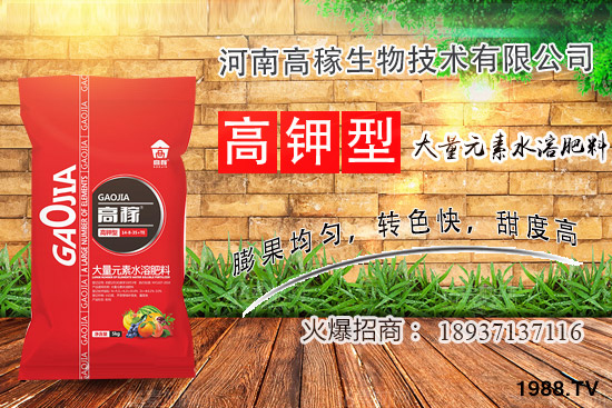 小香蔥種植環(huán)境有什么要求？夏季種植小香蔥的技巧！