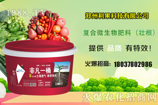 2020��Nֲ����ٍ�X�᣿�Nֲǰ�����������һ���خa(ch��n)���ж�����