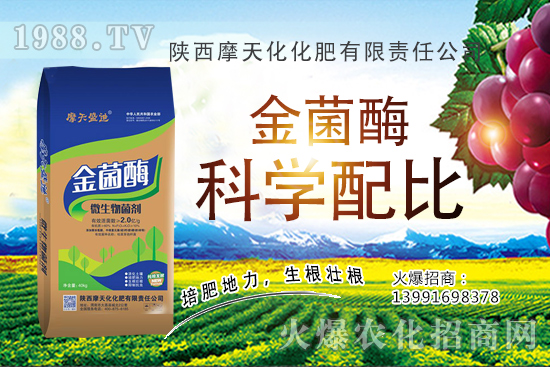 種一畝蘋果的成本是多少,有多少利潤?蘋果種植技術(shù)與管理!