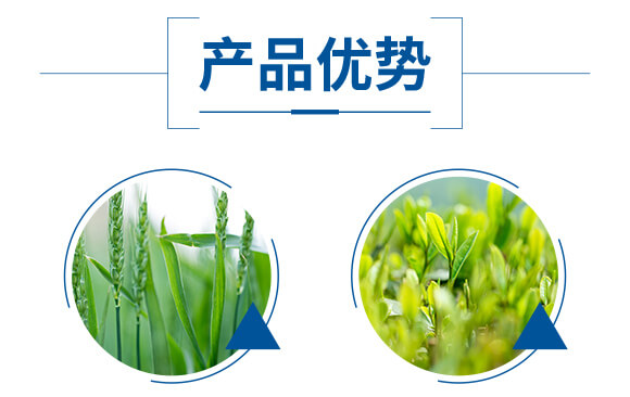 酶解魚(yú)蛋白溶漿（瓶）-優(yōu)米卡-爵利_05