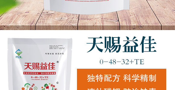 鼎豐賦能-天賜鼎立_03