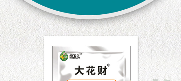 花生促花下針?lè)骤緞?大花財(cái)-綠仕生物_02