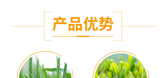 花生促花下針?lè)骤緞?大花財(cái)-綠仕生物_05