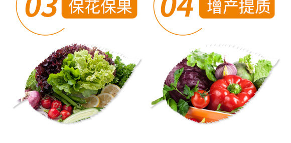 礦源黃腐酸營養(yǎng)液-中微_07