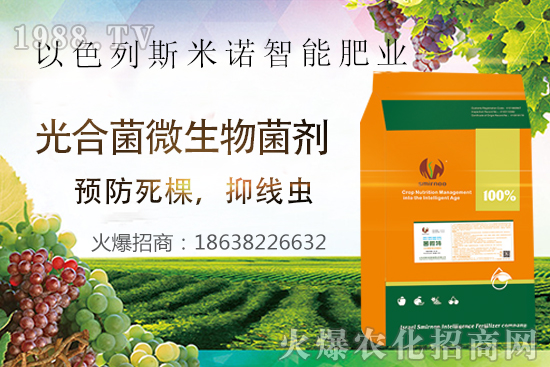 根結(jié)線蟲危害大，太難防？“菌微特”來幫忙！抑制線蟲和蟲卵，干凈！