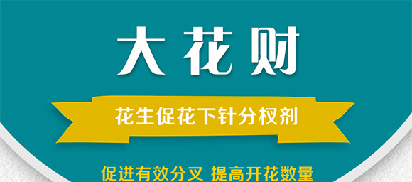 花生促花下針?lè)骤緞?大花財(cái)-綠仕生物_01