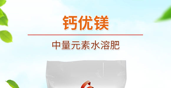 中量元素水溶肥-鈣優(yōu)鎂-根之道_01