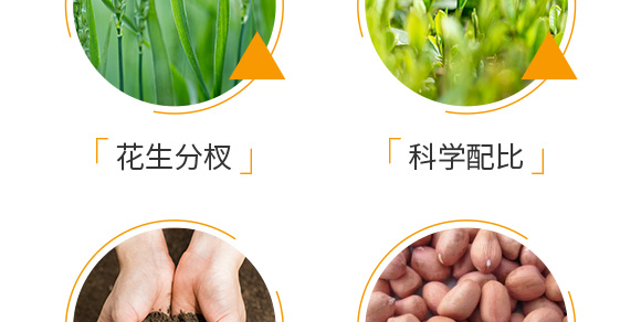 花生促花下針?lè)骤緞?大花財(cái)-綠仕生物_06