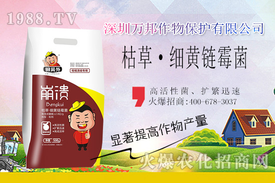 柑橘潰瘍病危害一年比一年嚴重,柑橘潰瘍病如何防控?