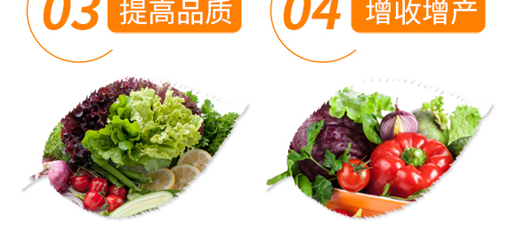 大量元素型含腐植酸水溶肥料(桶)-噴施肥-鴻田-新豐田_08