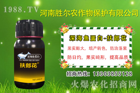 2020年7月13日今日國內(nèi)磷銨價(jià)格行情及交易日評(píng)