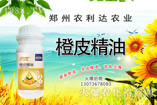 橙皮精油您了解多少？橙皮精油有什么作用？怎么選橙皮精油？