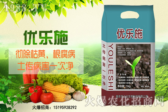 種芹菜空心多,品質(zhì)差?芹菜空心原因及防治措施!