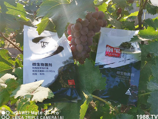 好產(chǎn)品好作用,“一璽生物”微生物菌劑“幗璽”客戶(hù)真實(shí)反饋!