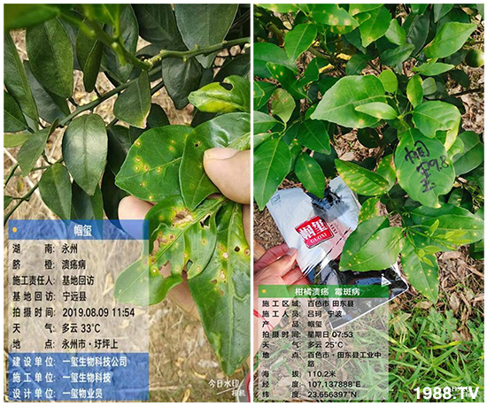 好產(chǎn)品好作用,“一璽生物”微生物菌劑“幗璽”客戶(hù)真實(shí)反饋!