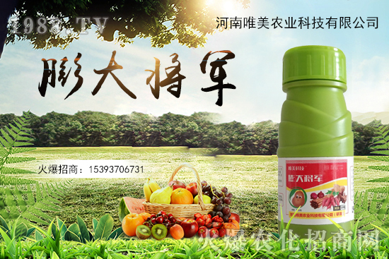 果實(shí)膨果慢、果實(shí)小怎么解決？果實(shí)膨果肥的選擇有哪些？